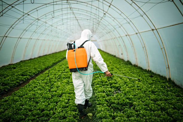 Best Best Pest Control Companies  in Dublin, GA