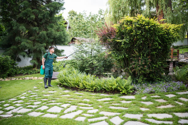 Best Commercial Pest Control Services  in Dublin, GA