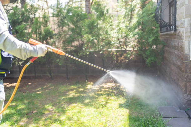 Best Emergency Pest Control  in Dublin, GA
